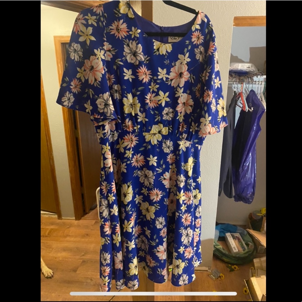 Eliza J Fit and Flare Dress